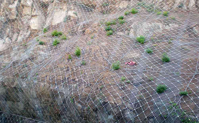 邊坡防護網